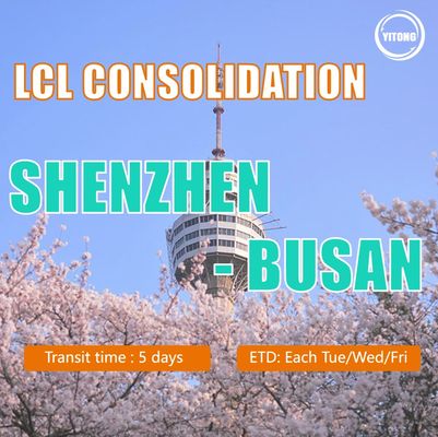 LCL logistics from shenzhen to