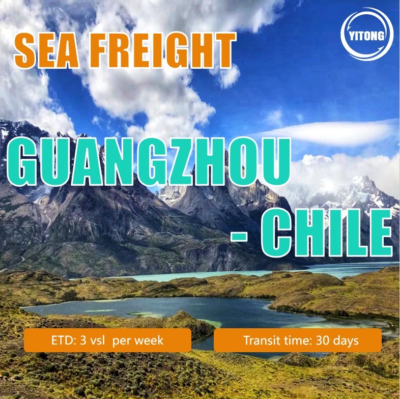 Sea Shipping From Guangzhou To Chile